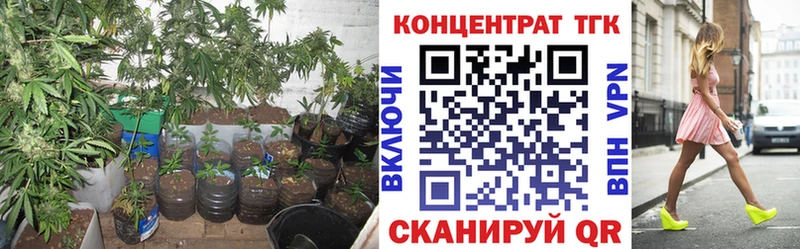 Купить закладки Мостовской ТГК Wax